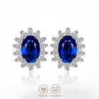 Aretes Princesse Zafiro