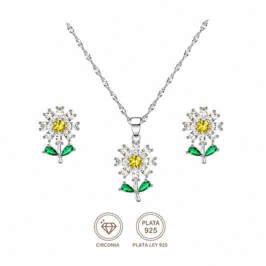Conjunto flor margarita