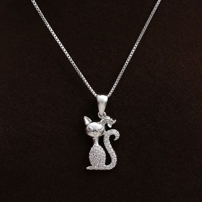 Collar Gato