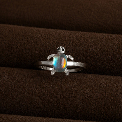 Anillo Tortuga